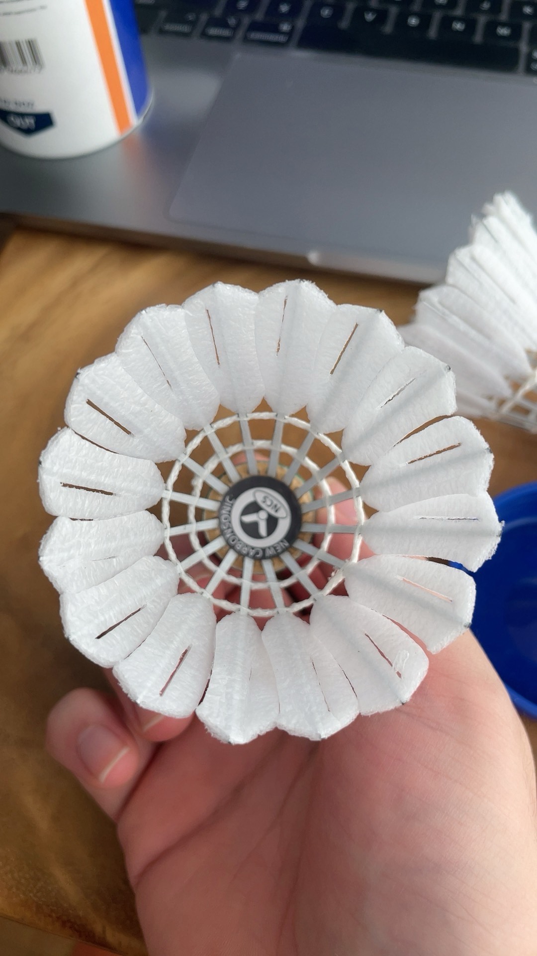 体育总局航管中心关于规范跳伞赛事活动项目名称表述的通知.