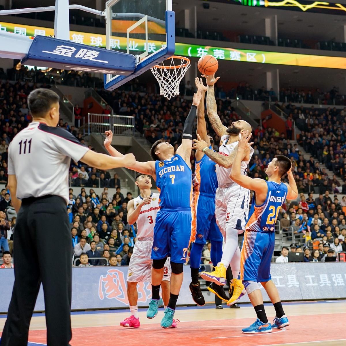 规框架下 规框架下